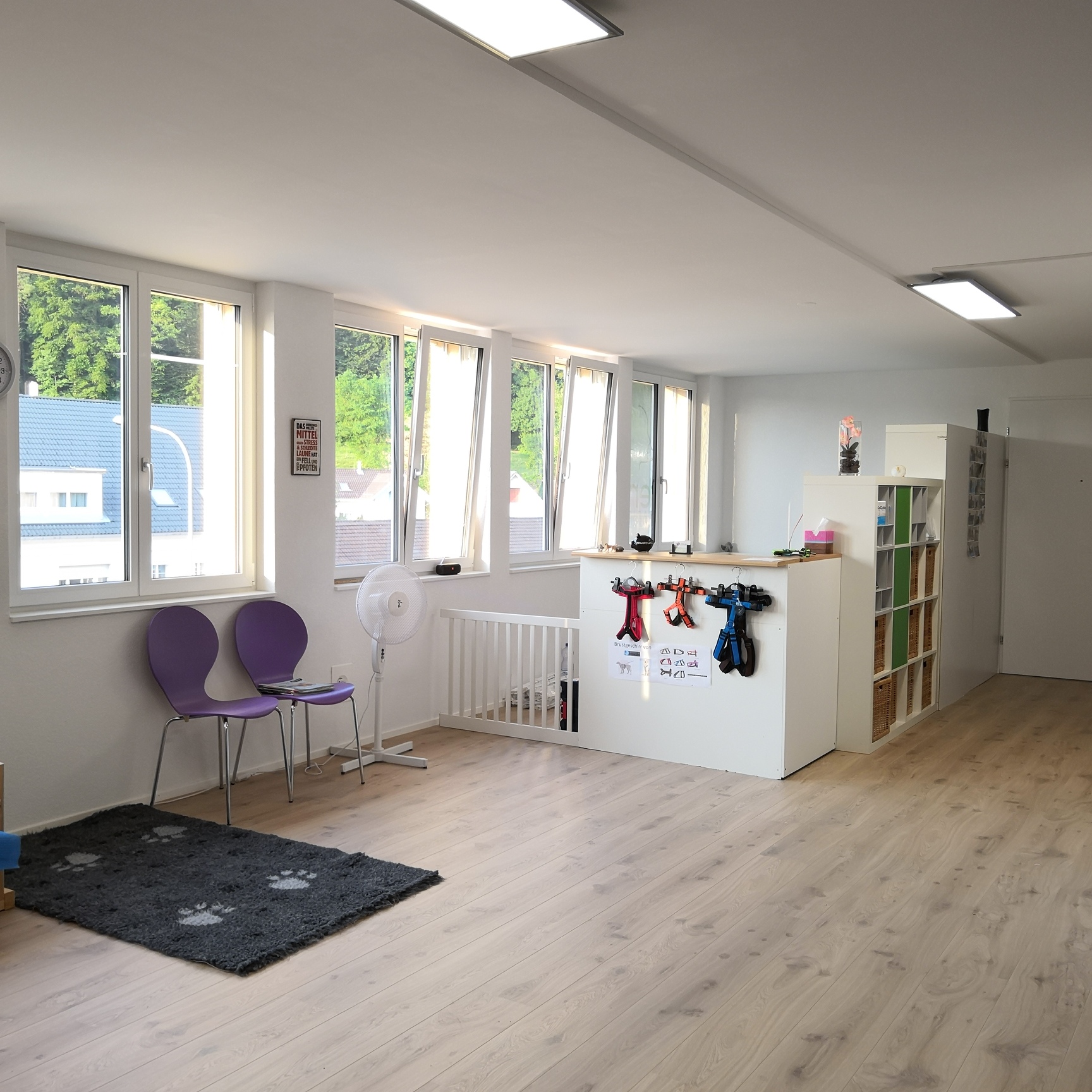 Empfang / Büro
